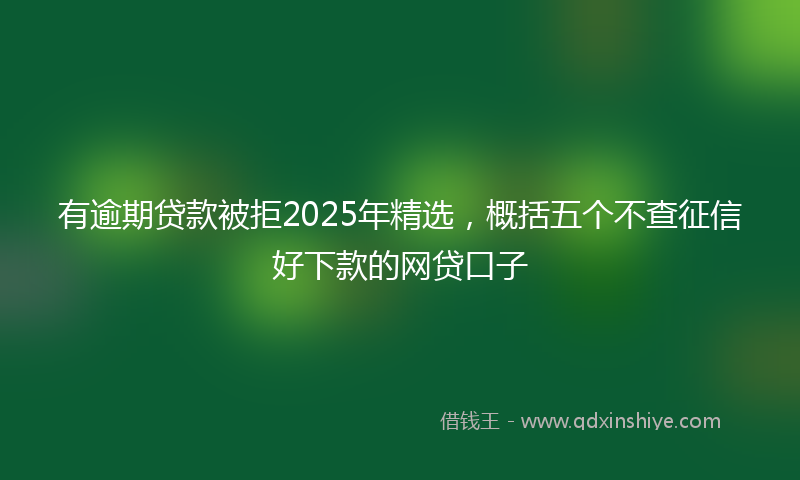 有逾期贷款被拒2025年精选，概括五个不查征信好下款的网贷口子