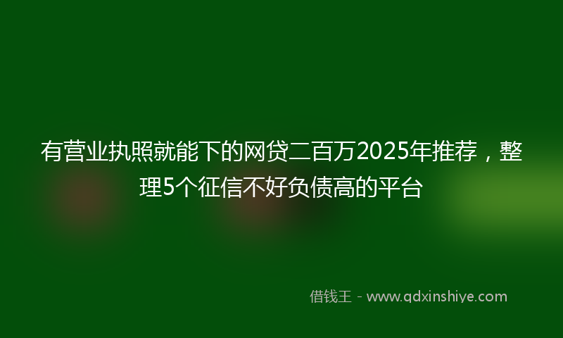 有营业执照就能下的网贷二百万2025年推荐，整理5个征信不好负债高的平台