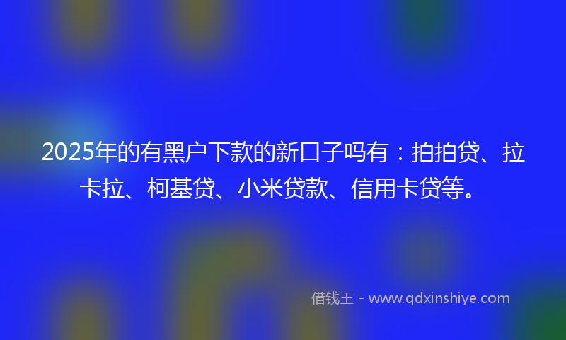 2025年的有黑户下款的新口子吗有：拍拍贷、拉卡拉、柯基贷、小米贷款、信用卡贷等。