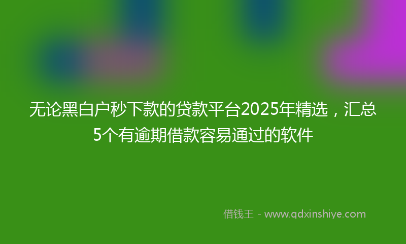 无论黑白户秒下款的贷款平台2025年精选，汇总5个有逾期借款容易通过的软件
