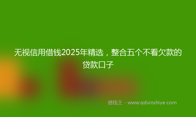 无视信用借钱2025年精选，整合五个不看欠款的贷款口子