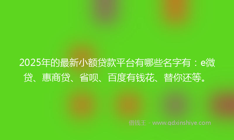 2025年的最新小额贷款平台有哪些名字有：e微贷、惠商贷、省呗、百度有钱花、替你还等。