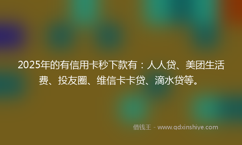 2025年的有信用卡秒下款有：人人贷、美团生活费、投友圈、维信卡卡贷、滴水贷等。