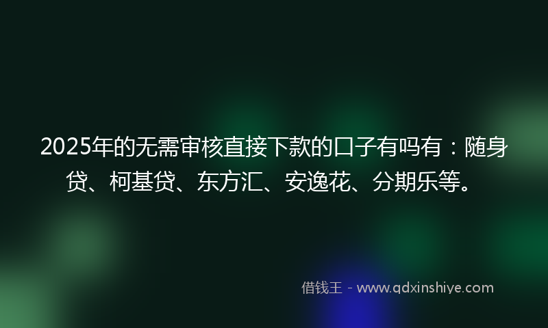 2025年的无需审核直接下款的口子有吗有：随身贷、柯基贷、东方汇、安逸花、分期乐等。