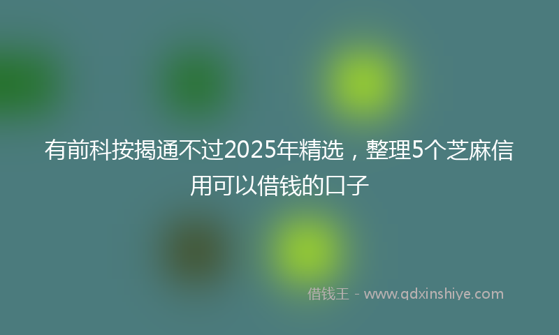 有前科按揭通不过2025年精选，整理5个芝麻信用可以借钱的口子