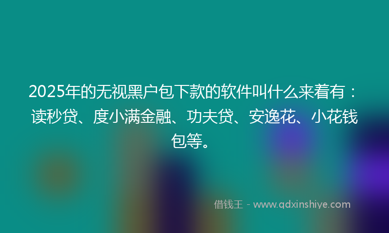 2025年的无视黑户包下款的软件叫什么来着有：读秒贷、度小满金融、功夫贷、安逸花、小花钱包等。