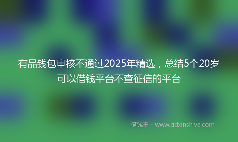 有品钱包审核不通过2025年精选，总结5个20岁可以借钱平台不查征信的平台