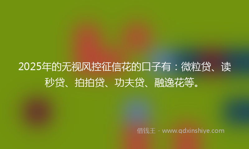 2025年的无视风控征信花的口子有：微粒贷、读秒贷、拍拍贷、功夫贷、融逸花等。