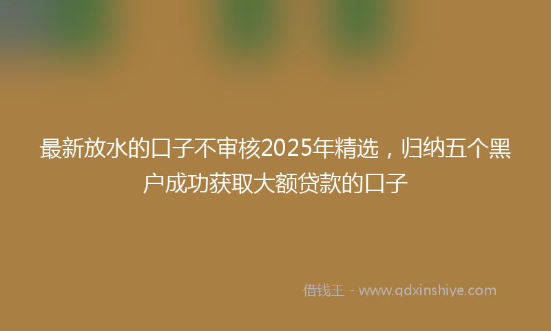 最新放水的口子不审核2025年精选，归纳五个黑户成功获取大额贷款的口子