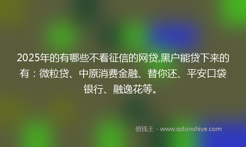 2025年的有哪些不看征信的网贷,黑户能贷下来的有：微粒贷、中原消费金融、替你还、平安口袋银行、融逸花等。