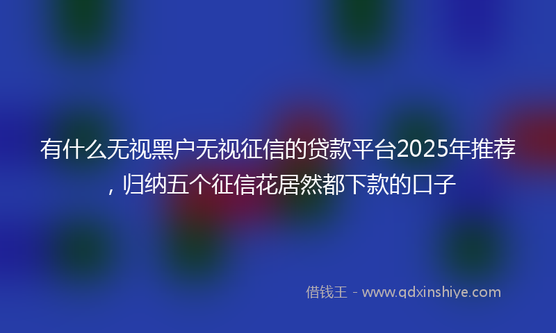 有什么无视黑户无视征信的贷款平台2025年推荐，归纳五个征信花居然都下款的口子