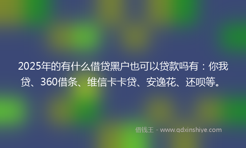 2025年的有什么借贷黑户也可以贷款吗有：你我贷、360借条、维信卡卡贷、安逸花、还呗等。