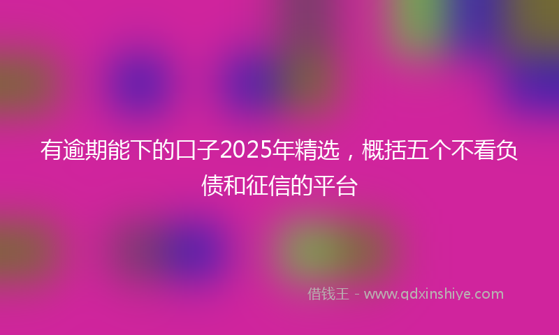 有逾期能下的口子2025年精选，概括五个不看负债和征信的平台