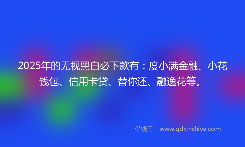 2025年的无视黑白必下款有：度小满金融、小花钱包、信用卡贷、替你还、融逸花等。