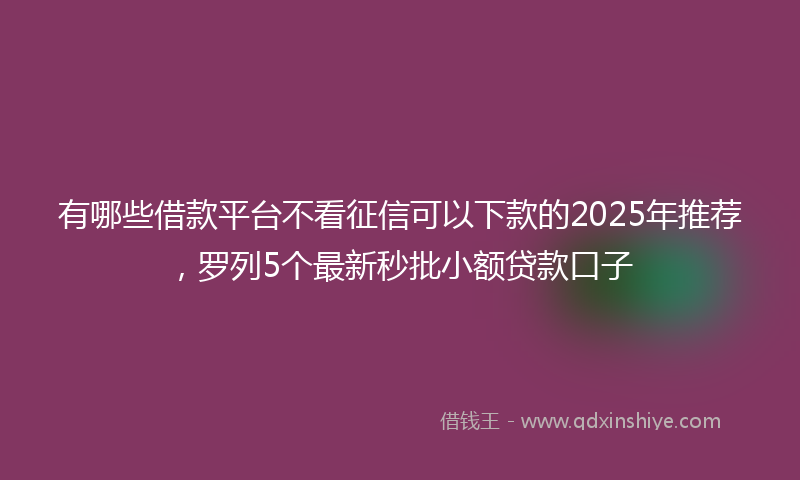 有哪些借款平台不看征信可以下款的2025年推荐，罗列5个最新秒批小额贷款口子