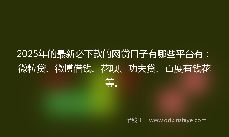 2025年的最新必下款的网贷口子有哪些平台有：微粒贷、微博借钱、花呗、功夫贷、百度有钱花等。