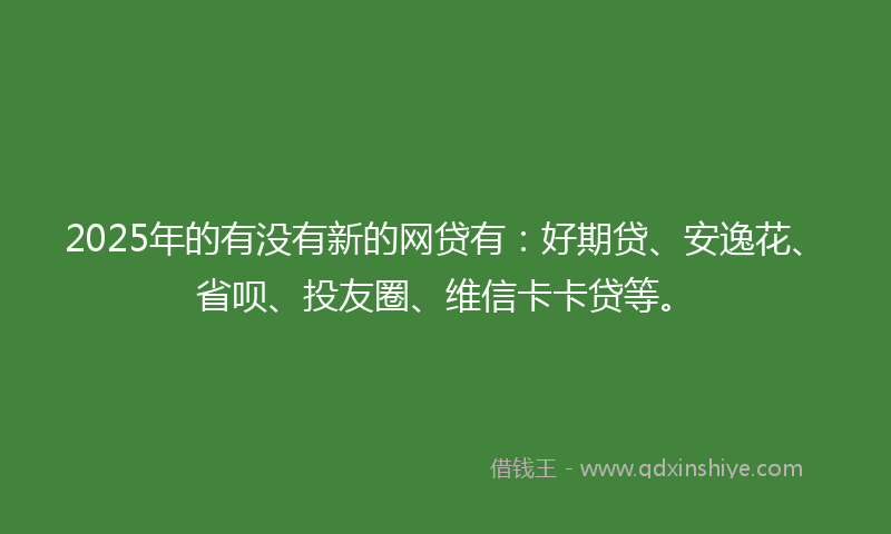 2025年的有没有新的网贷有：好期贷、安逸花、省呗、投友圈、维信卡卡贷等。