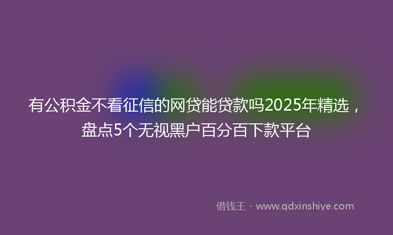 有公积金不看征信的网贷能贷款吗2025年精选，盘点5个无视黑户百分百下款平台