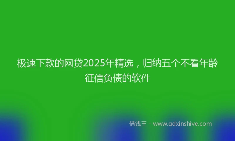 极速下款的网贷2025年精选，归纳五个不看年龄征信负债的软件
