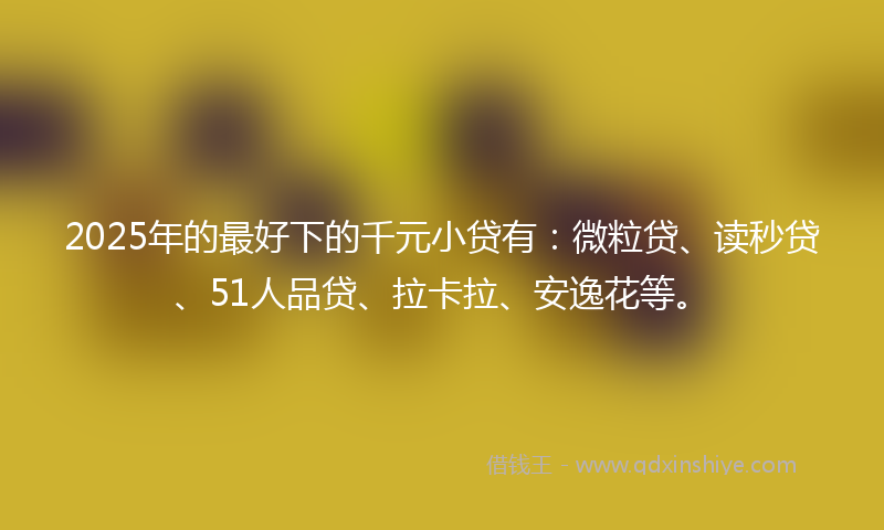 2025年的最好下的千元小贷有：微粒贷、读秒贷、51人品贷、拉卡拉、安逸花等。
