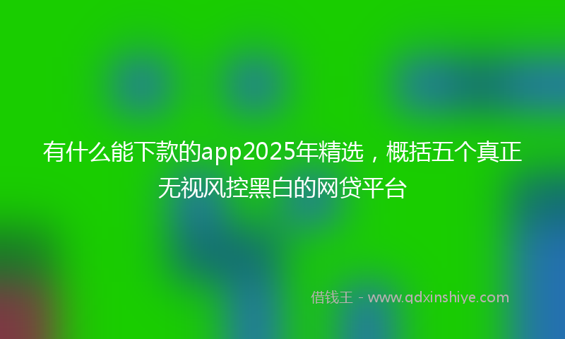 有什么能下款的app2025年精选，概括五个真正无视风控黑白的网贷平台