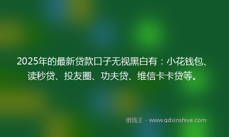 2025年的最新贷款口子无视黑白有：小花钱包、读秒贷、投友圈、功夫贷、维信卡卡贷等。
