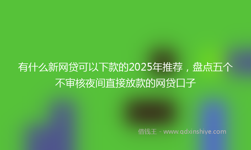 有什么新网贷可以下款的2025年推荐，盘点五个不审核夜间直接放款的网贷口子