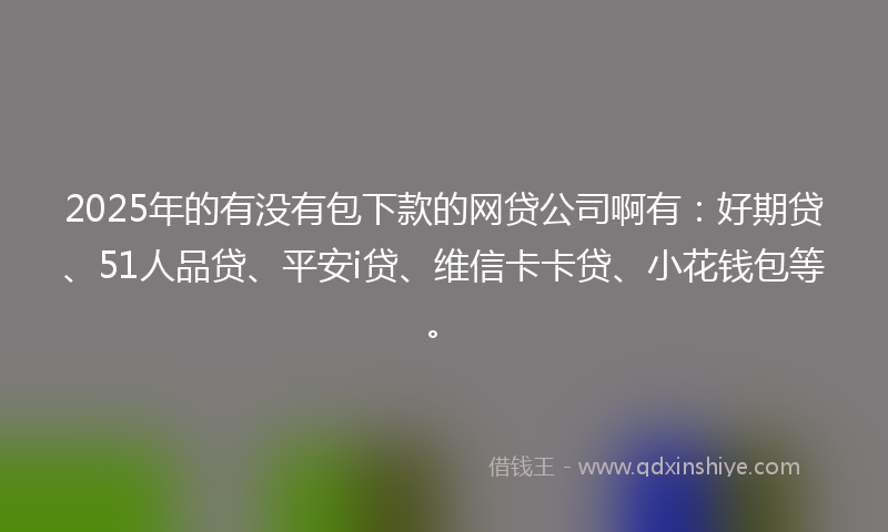 2025年的有没有包下款的网贷公司啊有：好期贷、51人品贷、平安i贷、维信卡卡贷、小花钱包等。