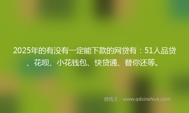 2025年的有没有一定能下款的网贷有：51人品贷、花呗、小花钱包、快贷通、替你还等。
