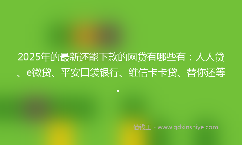 2025年的最新还能下款的网贷有哪些有：人人贷、e微贷、平安口袋银行、维信卡卡贷、替你还等。