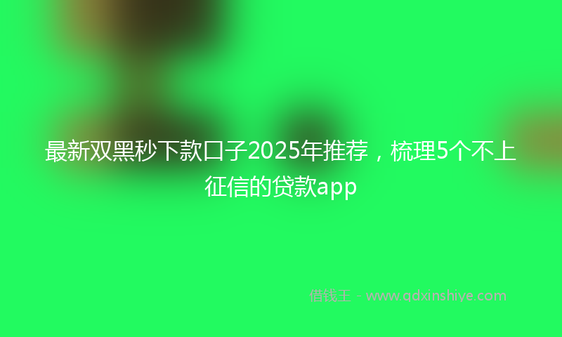 最新双黑秒下款口子2025年推荐，梳理5个不上征信的贷款app