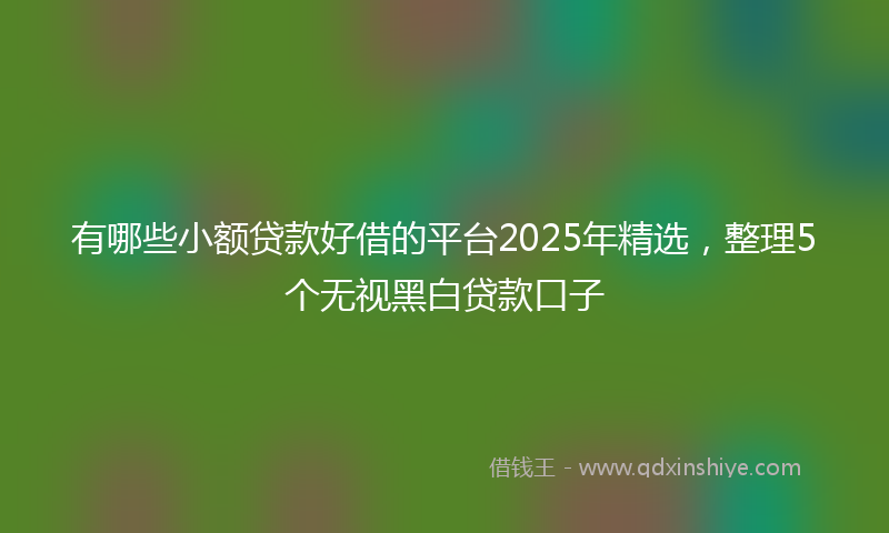 有哪些小额贷款好借的平台2025年精选，整理5个无视黑白贷款口子
