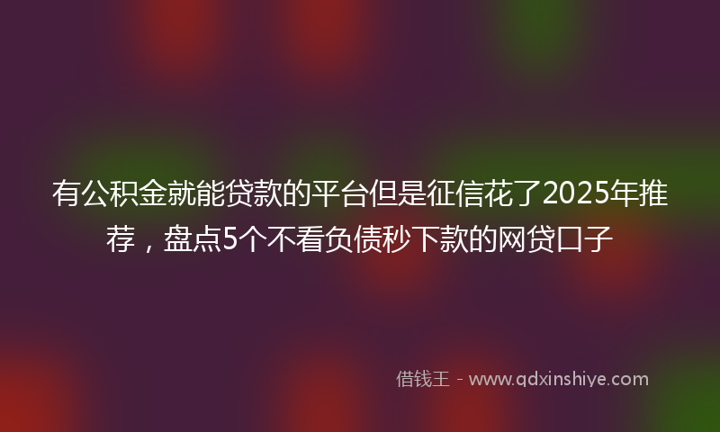 有公积金就能贷款的平台但是征信花了2025年推荐，盘点5个不看负债秒下款的网贷口子