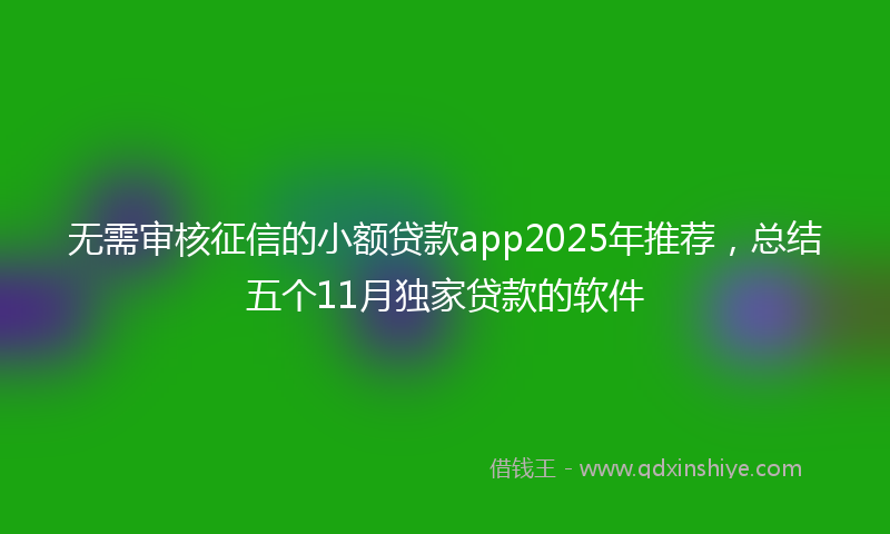 无需审核征信的小额贷款app2025年推荐，总结五个11月独家贷款的软件