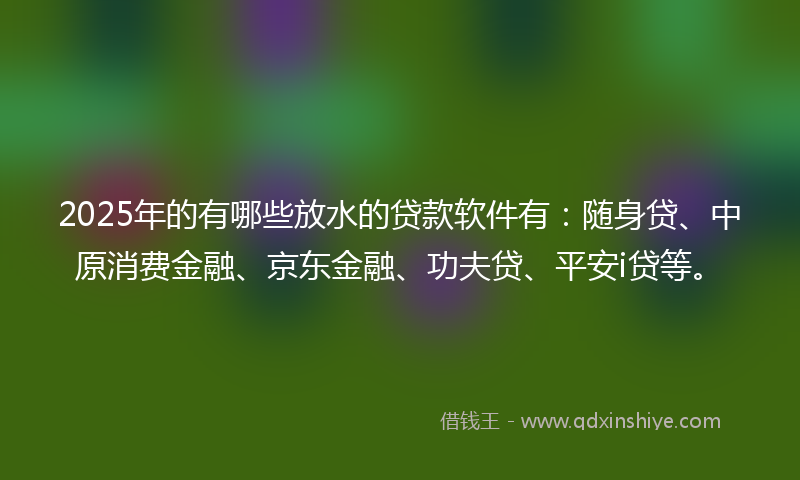 2025年的有哪些放水的贷款软件有：随身贷、中原消费金融、京东金融、功夫贷、平安i贷等。