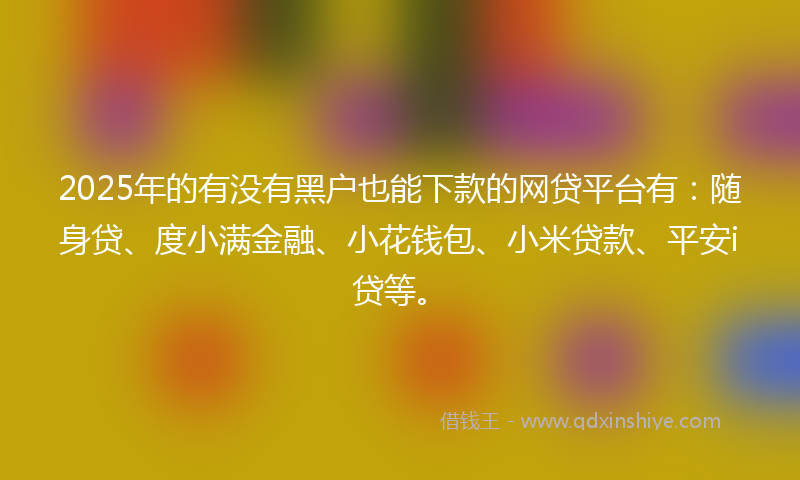 2025年的有没有黑户也能下款的网贷平台有：随身贷、度小满金融、小花钱包、小米贷款、平安i贷等。