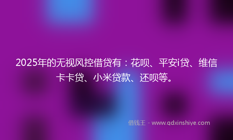 2025年的无视风控借贷有：花呗、平安i贷、维信卡卡贷、小米贷款、还呗等。