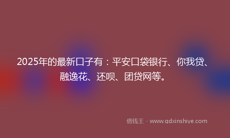 2025年的最新口子有：平安口袋银行、你我贷、融逸花、还呗、团贷网等。