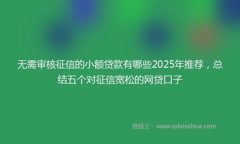 无需审核征信的小额贷款有哪些2025年推荐，总结五个对征信宽松的网贷口子