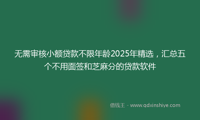 无需审核小额贷款不限年龄2025年精选，汇总五个不用面签和芝麻分的贷款软件