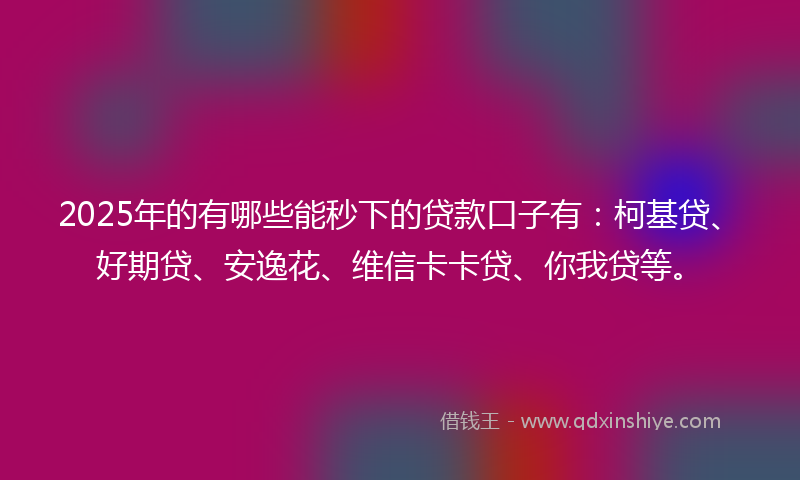 2025年的有哪些能秒下的贷款口子有：柯基贷、好期贷、安逸花、维信卡卡贷、你我贷等。