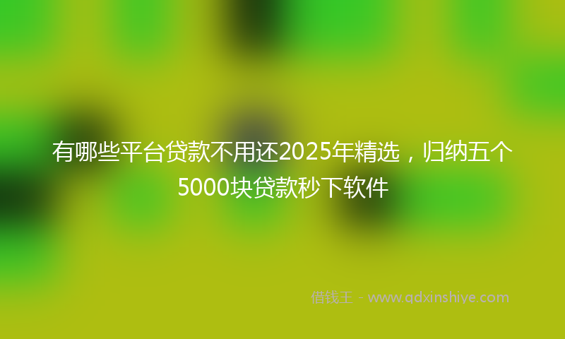 有哪些平台贷款不用还2025年精选，归纳五个5000块贷款秒下软件