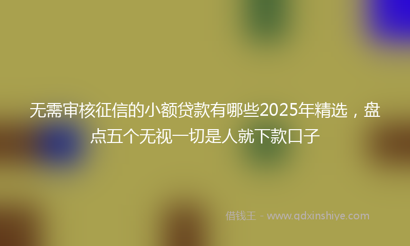 无需审核征信的小额贷款有哪些2025年精选，盘点五个无视一切是人就下款口子