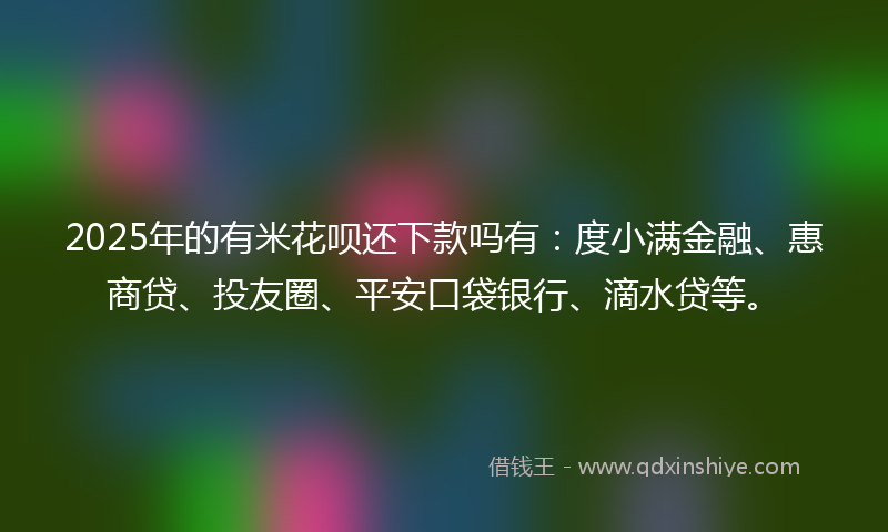 2025年的有米花呗还下款吗有：度小满金融、惠商贷、投友圈、平安口袋银行、滴水贷等。