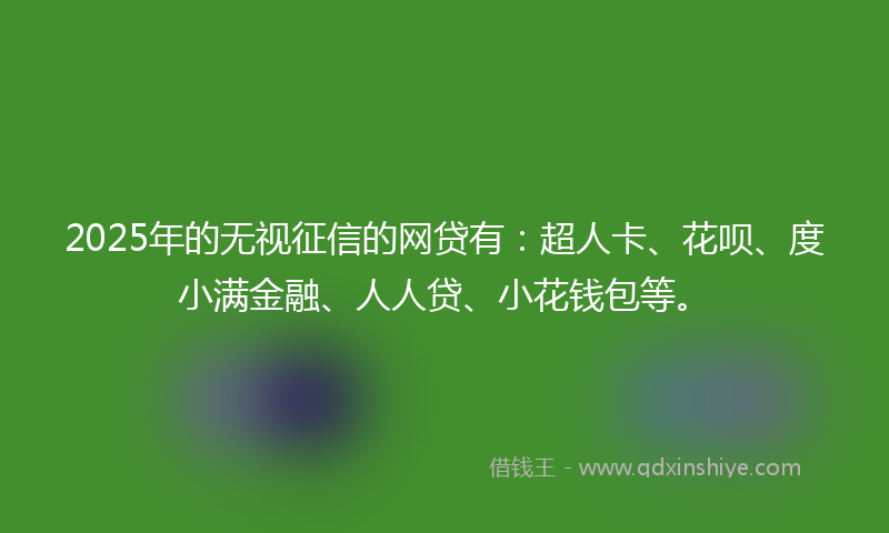 2025年的无视征信的网贷有：超人卡、花呗、度小满金融、人人贷、小花钱包等。