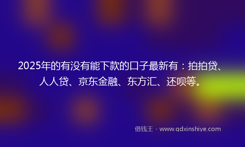 2025年的有没有能下款的口子最新有：拍拍贷、人人贷、京东金融、东方汇、还呗等。