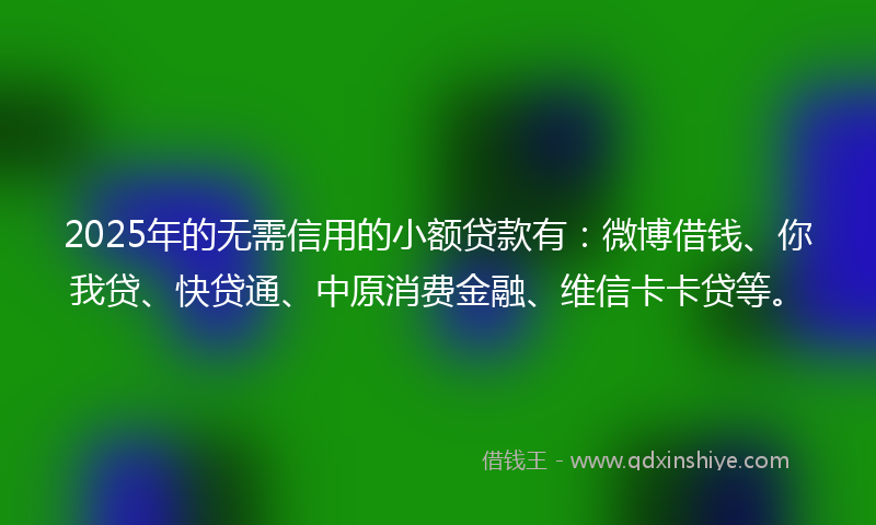 2025年的无需信用的小额贷款有：微博借钱、你我贷、快贷通、中原消费金融、维信卡卡贷等。