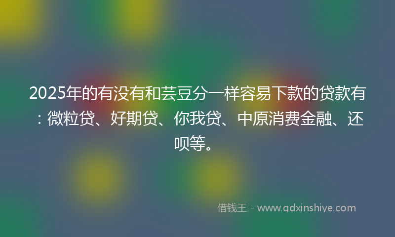 2025年的有没有和芸豆分一样容易下款的贷款有：微粒贷、好期贷、你我贷、中原消费金融、还呗等。