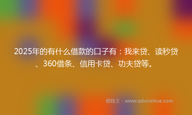 2025年的有什么借款的口子有：我来贷、读秒贷、360借条、信用卡贷、功夫贷等。