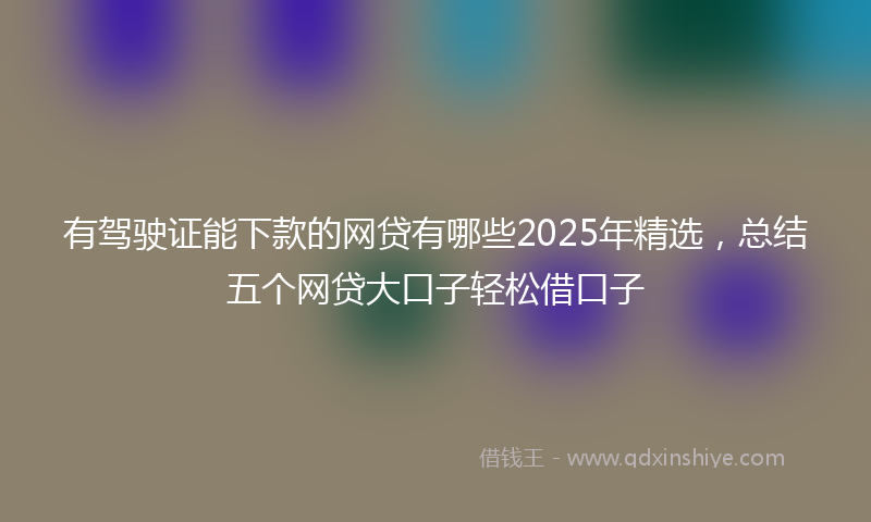 有驾驶证能下款的网贷有哪些2025年精选，总结五个网贷大口子轻松借口子